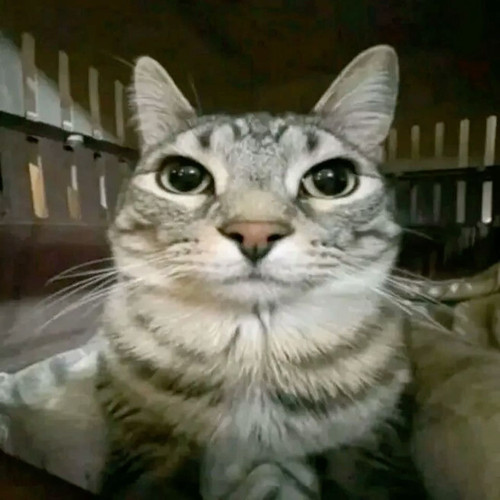 file.jpg