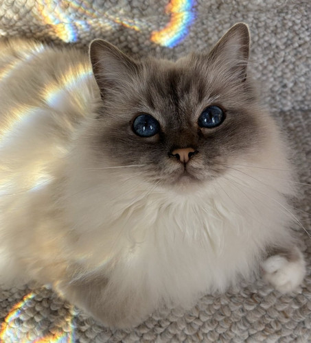 G8ayr5ZXUAADS0p.jpg