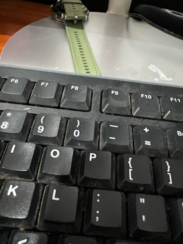 file 55.jpg