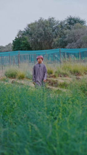 OfgSdnDff XFwc0J.jpg