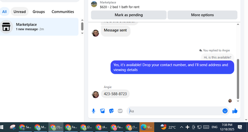 17.png