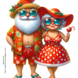 aigenbycaz summerchristmascouple (2)
