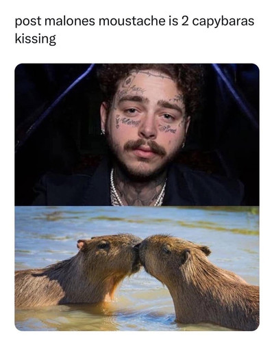 602381800 122270324654236798 2245799441576188911 n.jpg