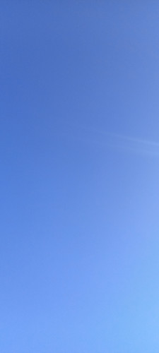 17660550949361225731744324093371.jpg