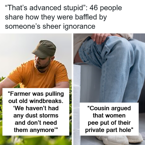 a4db4420 253d 43e7 ad35 6288e976d56d.png