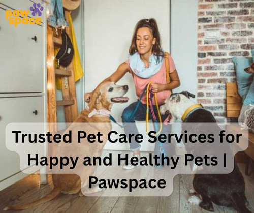 Trusted Pet Care Services for Happy and Healthy Pets Pawspace.jpg