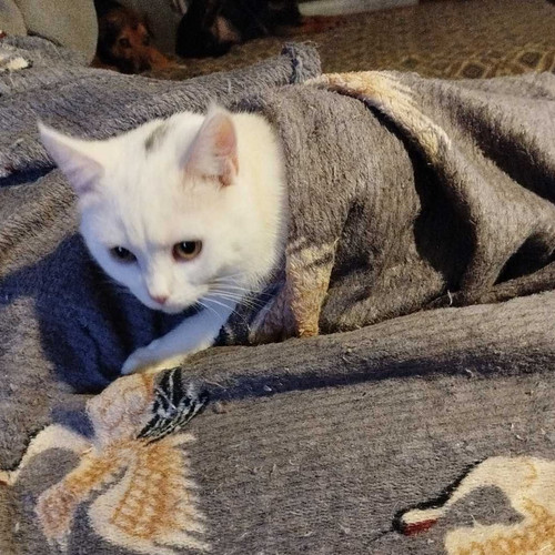 G8ZDE0CXYAASzZ9.jpg