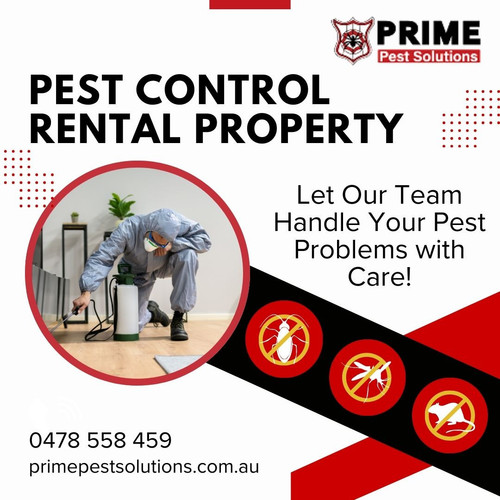 Pest control rental property.jpg