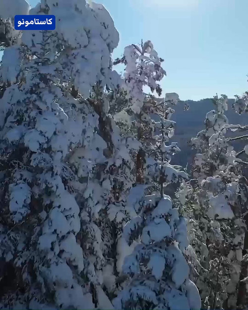 BWM clYs u11pOrZ.jpg