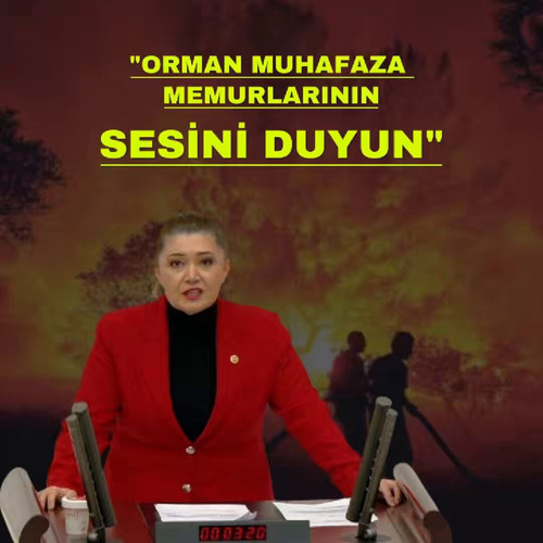 zSM ODP3lMwRZxMT.jpg