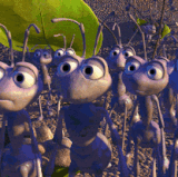 1000006698.gif
