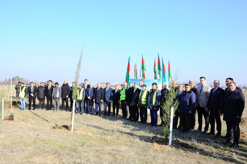 599941126 857299313722725 2024281662529322684 n.jpg?stp=dst jpg s590x590 tt6& nc cat=101&ccb=1 7& nc.jpg