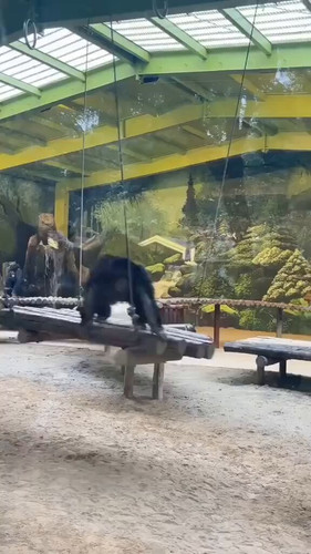 6wkqb3 0T ve2Mig.jpg