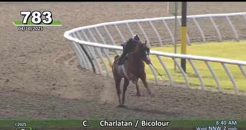 tk00 tpdlabjVmxG.jpg