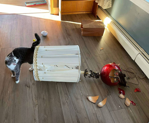 600214830 33664275949826099 5287997380582253934 n.jpg