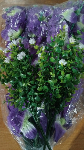 WhatsApp Image 2025 12 19 at 01.18.30.jpg