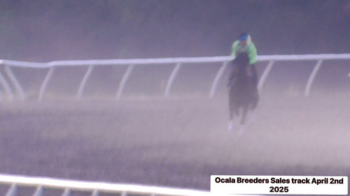 tg 8b67uuP5sd4 w.jpg