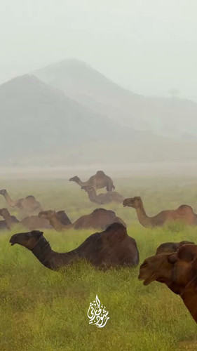 KrV4ae5m 2hM2Ro9.jpg