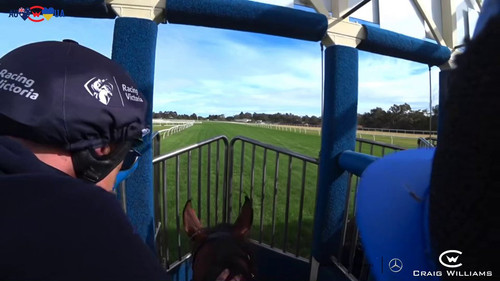 2C8 R yuCGbo iy7.jpg