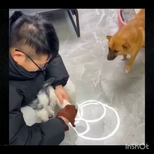 mce Qx5eL3OZjPV .jpg