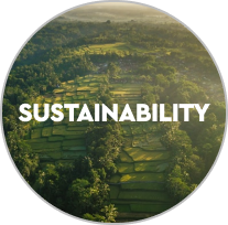 L Size Interest (1).png