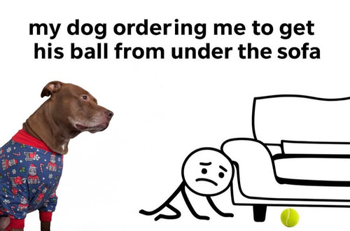 599004253 122162169836618299 6224913090124515864 n.jpg