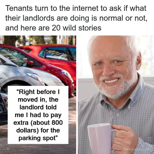 landlord stories.png