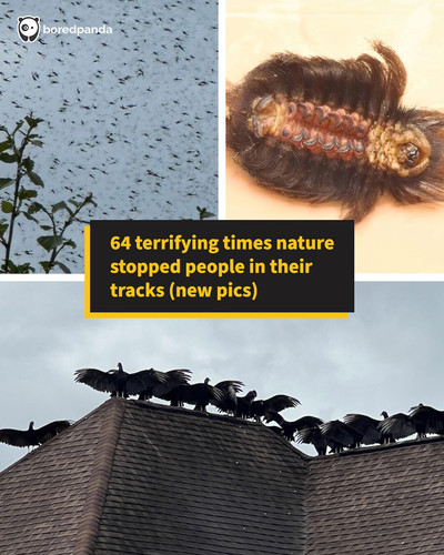 53177415 2f5b 4b4d bc6c a352f74ad6a5.jpg