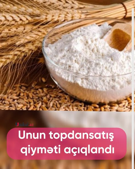 599140495 838663218979616 1225820203566334120 n.jpg?stp=dst jpg s590x590 tt6& nc cat=105&ccb=1 7& nc.jpg