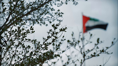 6pX2Th JdFaQD Rl.jpg