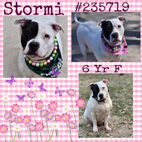 G50SwmeWwAA VvV?format=jpg.jpg