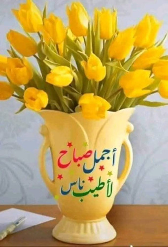 G8bQhufWAAA25N8.jpg
