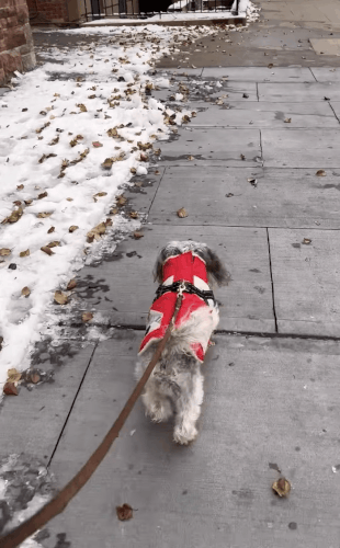 HOME.gif