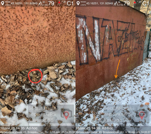 Изображение.jpg
