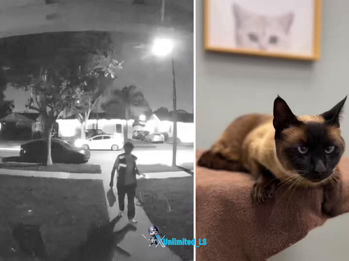 wyZ6jEba14i fUDZ.jpg