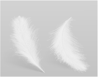 4997655 3438 [Converted] 01.png