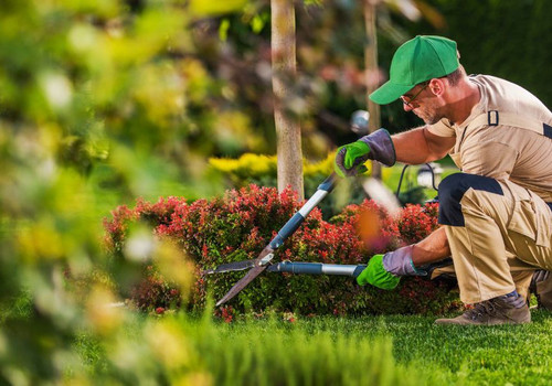 Commercial Landscaping Edmonton | Expert Landscape Contractor.jpg