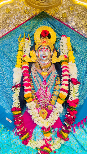 Lumii 20251218 123634812.jpg