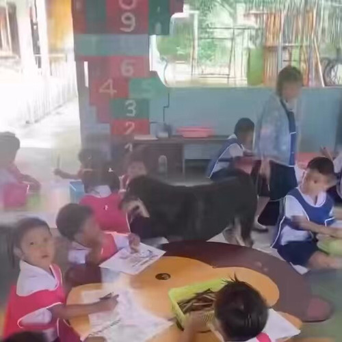 Qmy3dg CN GzwoCy.jpg