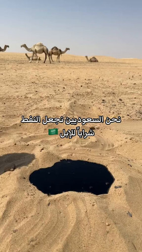 eBzIZoIbKjTJ2 VZ.jpg