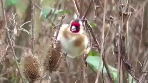 oO7QN0vsoeqsTt62.jpg