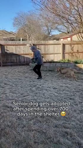 v9iRNNdvQhpOsY4s.jpg