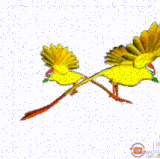 1000272118.gif