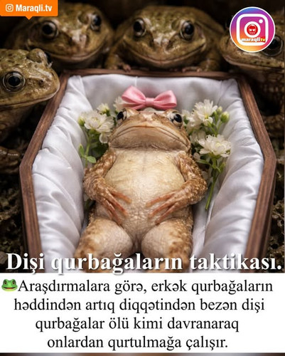 590512306 18548613931050163 6187187641155336191 n.jpg?stp=dst jpg s640x640 tt6& nc cat=103&ccb=1 7& .jpg