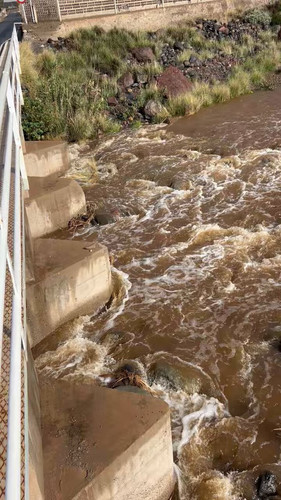 gTFZ obieAwzoi1q.jpg