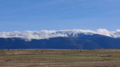 25OLdhIU lm2 50v.jpg