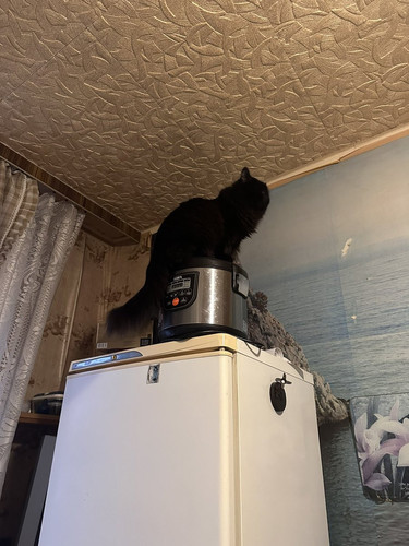 G8X00GqXkAc5 np?format=jpg.jpg