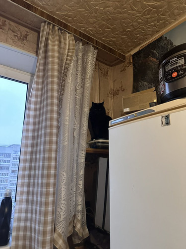 G8X00GqW4AA rzj?format=jpg.jpg