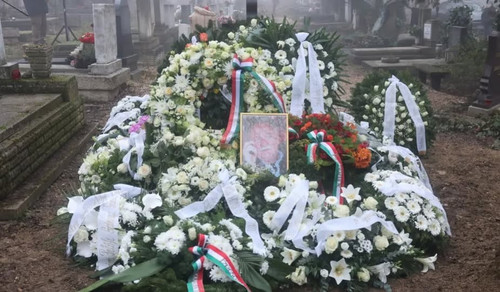 602948232 1327231699443208 5250874994809681302 n.jpg?stp=dst jpg p180x540 tt6& nc cat=108&ccb=1 7& n.jpg