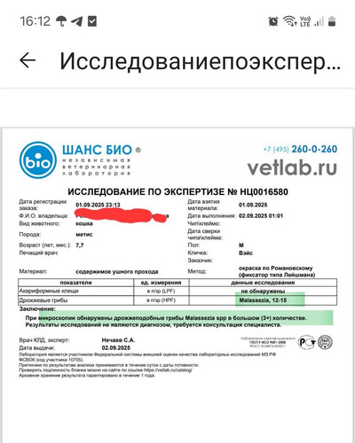 G2q JRAWwAAw6ay?format=jpg.jpg